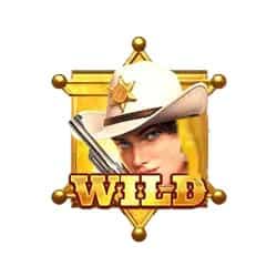 สัญลักษณ์ wild เกมคาบอย